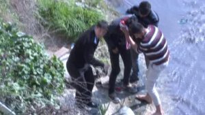 Bonzai İçen Genç, Metrelerce Yüksekten Dereye Düştü