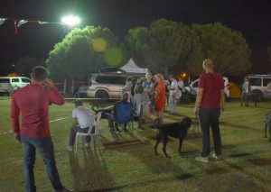 EN İYİ KÖPEK IRKLARI SİLİVRİ’DEYDİ