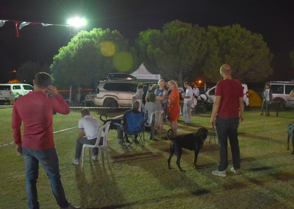 EN İYİ KÖPEK IRKLARI SİLİVRİ’DEYDİ