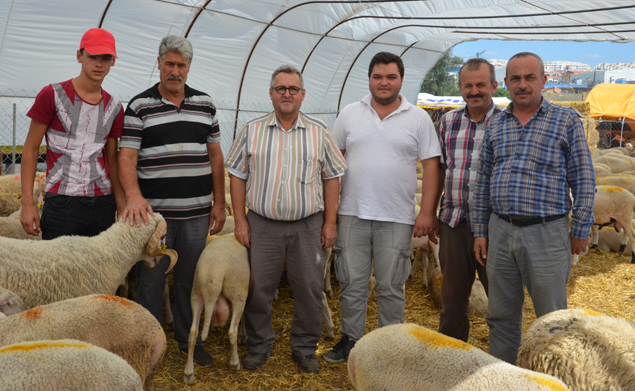Kurban pazarında son durum