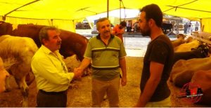 Kurban Pazarı’nda hareketlilik başladı