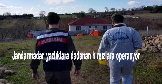 Jandarmadan yazlıklara dadanan hırsızlara operasyon