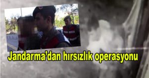 Jandarma’dan hırsızlık operasyonu