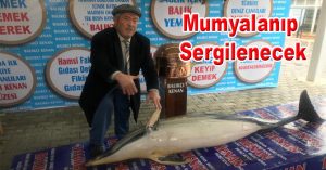 MUMYALANIP SERGİLENECEK