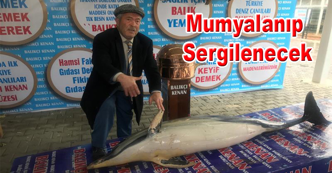 MUMYALANIP SERGİLENECEK