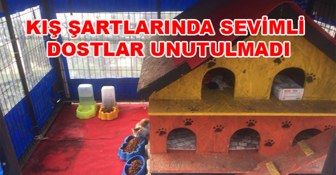 KIŞ ŞARTLARINDA SEVİMLİ DOSTLAR UNUTULMADI