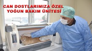 CAN DOSTLARIMIZA ÖZEL YOĞUN BAKIM ÜNİTESİ