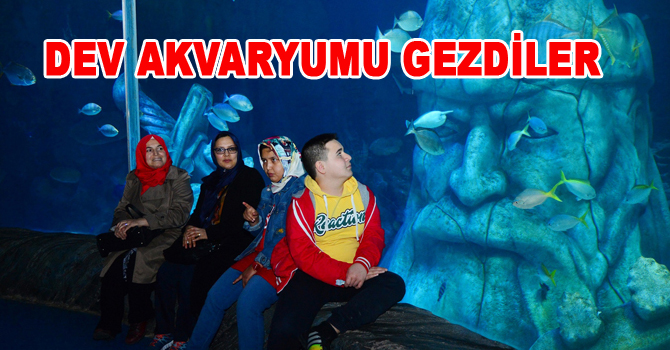 DEV AKVARYUMU GEZDİLER