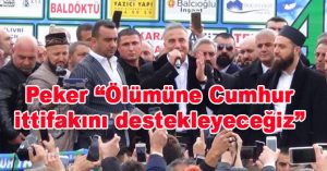 Sedat Peker “Ölümüne Cumhur ittifakını destekleyeceğiz”