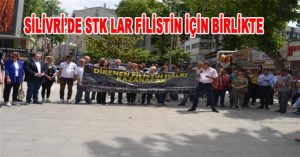 STK LAR FİLİSTİN İÇİN BİRLİKTE
