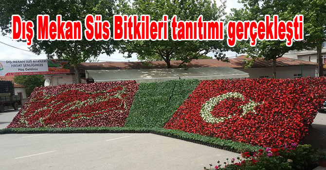 Dış Mekan Süs Bitkileri tanıtımı gerçekleşti