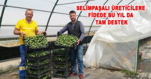 SELİMPAŞALI ÜRETİCİLERE FİDEDE BU YIL DA TAM DESTEK