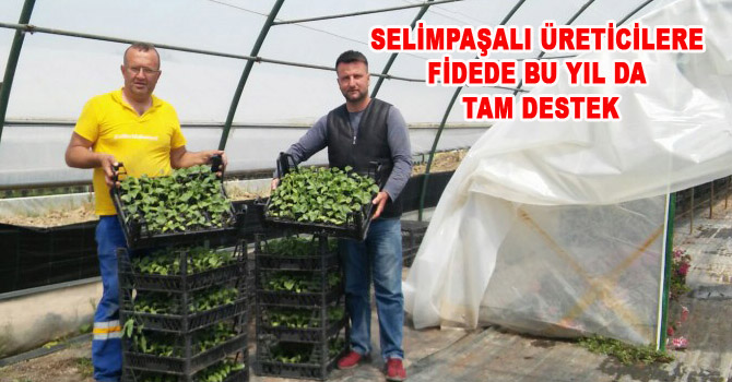 SELİMPAŞALI ÜRETİCİLERE FİDEDE BU YIL DA TAM DESTEK