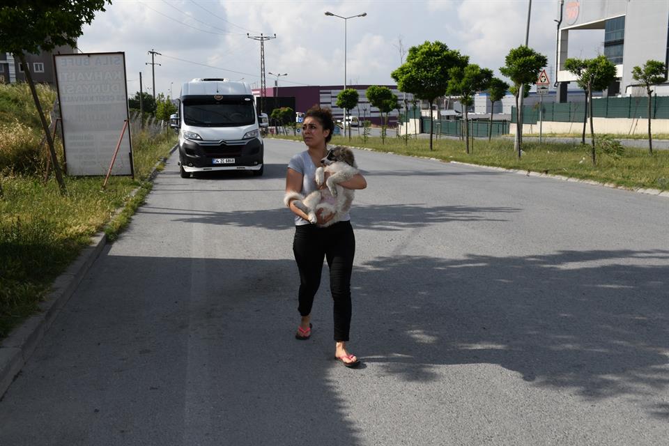 Genç kızdan insanlık dersi