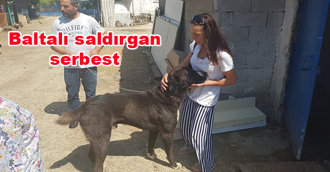 Baltalı saldırgan serbest