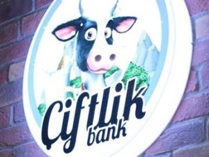 TOSUN’A PARA KAPTIRANLAR ÇILDIRACAK!