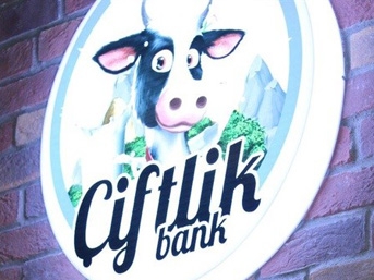 TOSUN’A PARA KAPTIRANLAR ÇILDIRACAK!