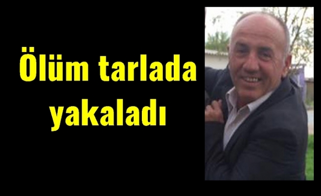 Ölüm tarlada yakaladı