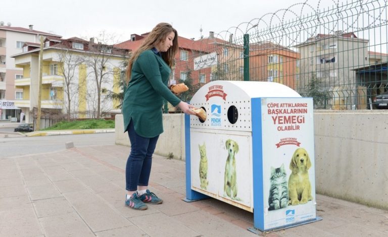 Sokak ve barınak hayvanları için ekmek toplama kutuları yaygınlaşıyor