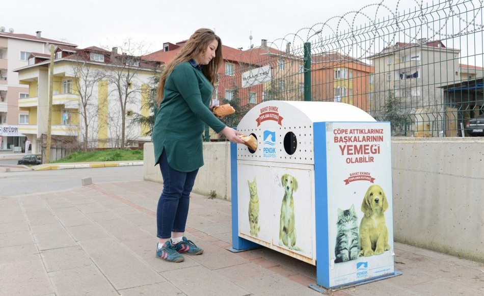 Sokak ve barınak hayvanları için ekmek toplama kutuları yaygınlaşıyor