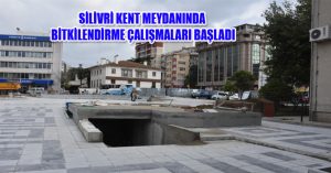 KENT MEYDANINDA BİTKİLENDİRME ÇALIŞMALARI BAŞLADI