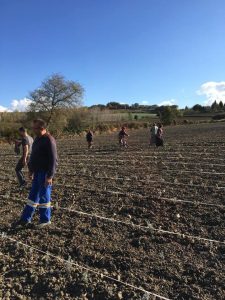 SİLİVRİ TOPRAKLARINDA TIBBİ VE AROMATİK BİTKİLERE TEŞVİK