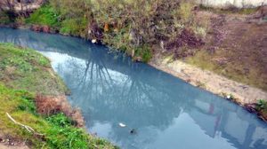 Çorlu Deresi, kirlilikten griye boyandı
