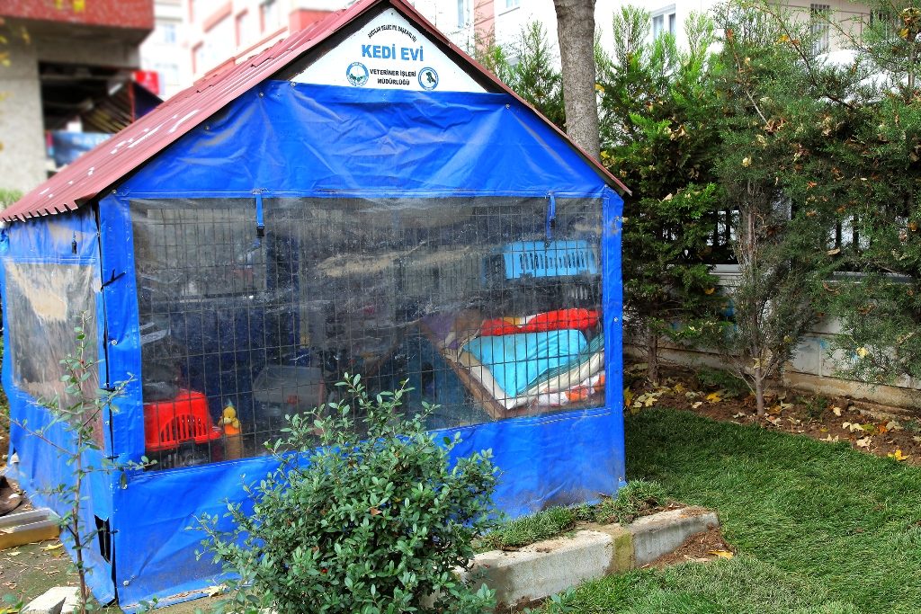 MİNİK DOSTLARIMIZ AVCILAR’DA EMİN ELLERDE