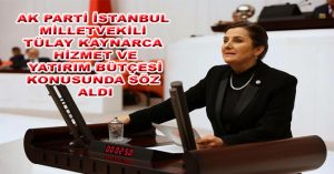 TÜLAY KAYNARCA : HİZMET VE YATIRIM BÜTÇESİ