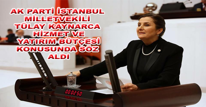 TÜLAY KAYNARCA : HİZMET VE YATIRIM BÜTÇESİ