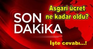 2019 ASGARİ ÜCRET BELLİ OLDU
