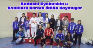 Budokai Kyokushin & Ashihara Karate ödüle doymuyor