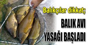 İÇ SULARDA BALIK AVI YASAKLARI BAŞLADI. CEZASI 1635. TL.