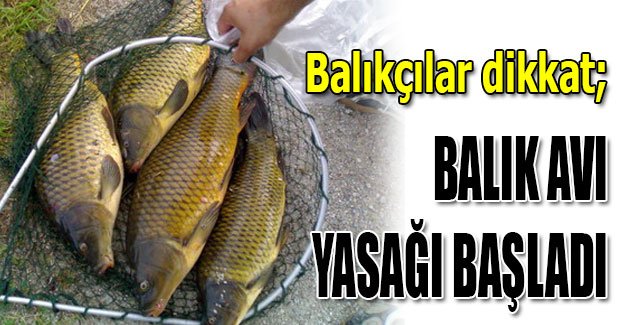 İÇ SULARDA BALIK AVI YASAKLARI BAŞLADI. CEZASI 1635. TL.