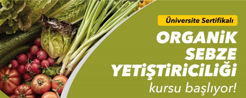 SİLİVRİ’ DE, ORGANİK SEBZE YETİŞTİRİCİLİĞİ KURSU BAŞLIYOR
