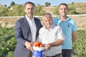 YILIN İLK DOMATESİNİ BAŞKAN YILMAZ TOPLADI
