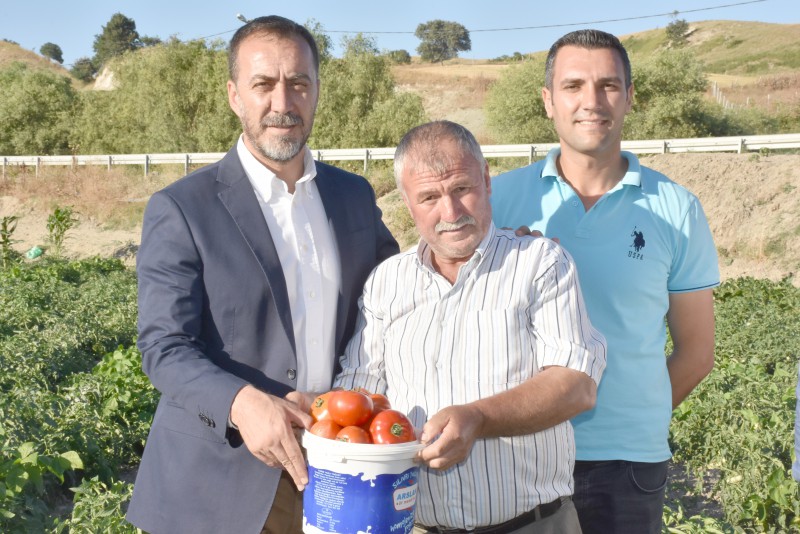 YILIN İLK DOMATESİNİ BAŞKAN YILMAZ TOPLADI