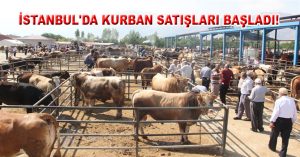İSTANBUL’DA KURBAN SATIŞLARI BAŞLADI!