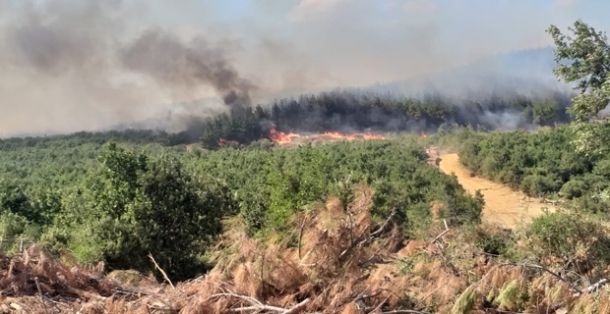 KEŞAN’DA ORMAN YANGINI