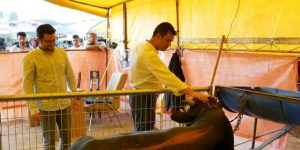 Başkan Sarıkurt Kurban Satış Merkezinde İncelemelerde Bulundu