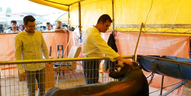 Başkan Sarıkurt Kurban Satış Merkezinde İncelemelerde Bulundu