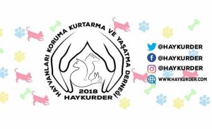 Paçalı “Direnme gücümüzü tüketmiş bulunuyoruz”