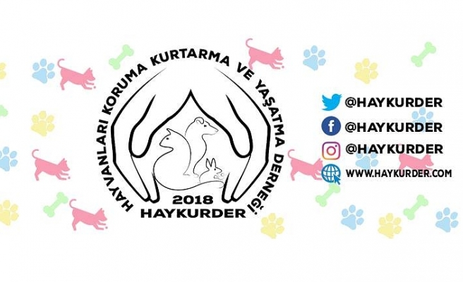 Paçalı “Direnme gücümüzü tüketmiş bulunuyoruz”