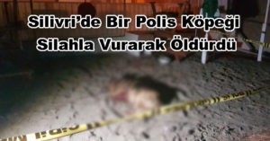 Silivri’de Bir Polis Köpeği Silahla Vurarak Öldürdü