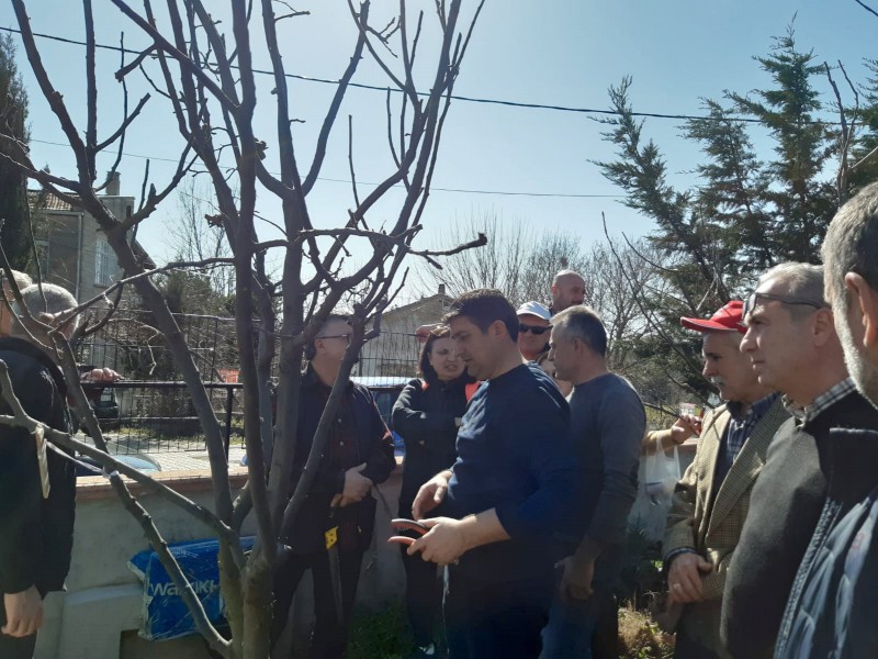 “Meyve Ağacı Budama Teknikleri” eğitimi verildi.