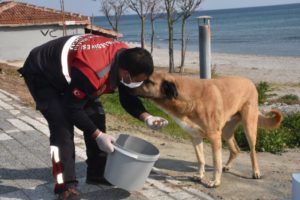 SİLİVRİ BELEDİYESİ EKİPLERİ GÖREVİNİN BAŞINDA