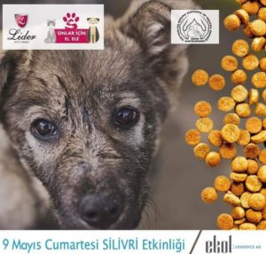 Haykurder, “Herşey Sevgiyle Başlar” ekibi bugün Silivri’ye geliyor!