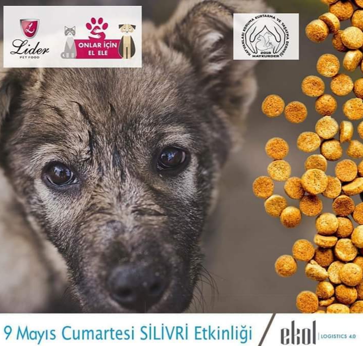 Haykurder, “Herşey Sevgiyle Başlar” ekibi bugün Silivri’ye geliyor!