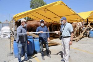 KÜÇÜKÇEKMECE KURBAN PAZARI, PANDEMİ TEDBİRLERİYLE BAYRAMA HAZIR