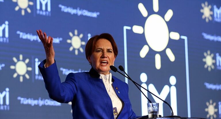 AKŞENER: “BEN GERİZEKALI MIYIM ÇİZİN DİYEYİM”